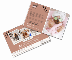 Fluff & Buff Grooming Co.- Postcard